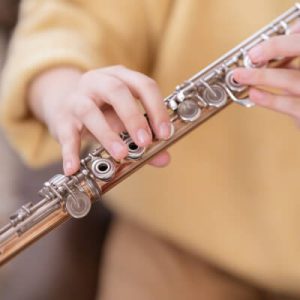 Musician Template Gallery Img B 6 300x300 1